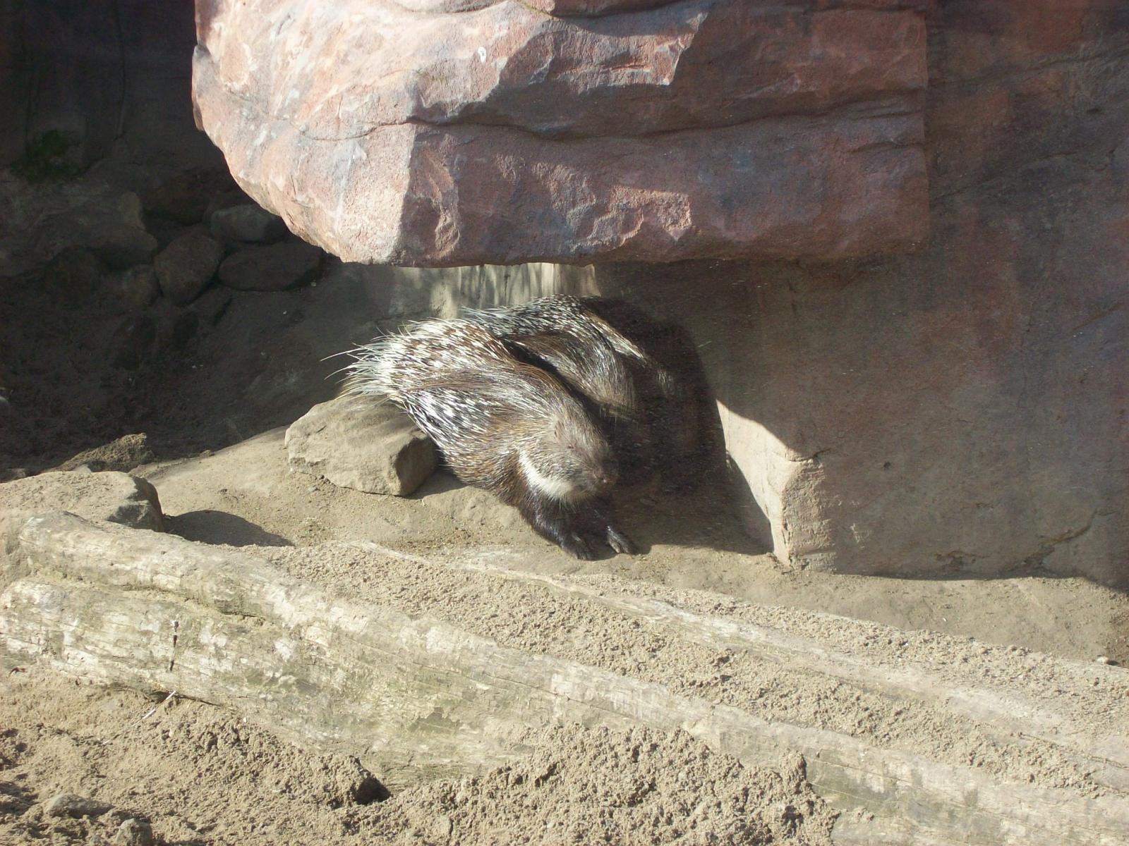 Zoom 18.10.2008-086.jpg